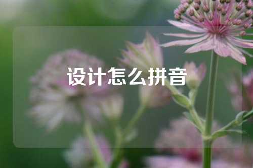 设计怎么拼音