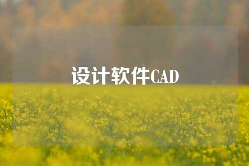 设计软件CAD