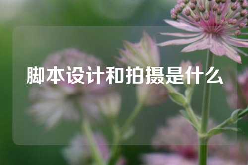 脚本设计和拍摄是什么