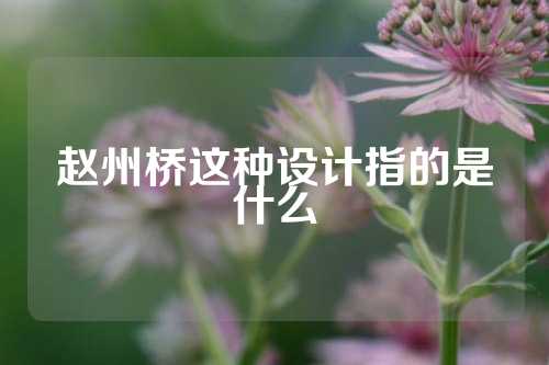 赵州桥这种设计指的是什么