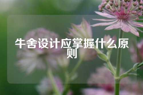 牛舍设计应掌握什么原则