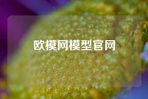 欧模网模型官网