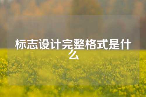 标志设计完整格式是什么