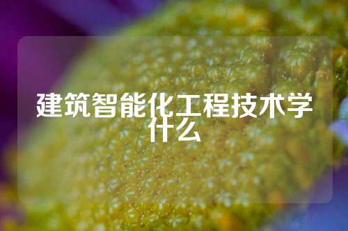 建筑智能化工程技术学什么