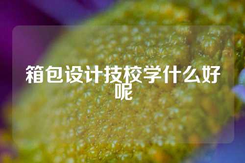 箱包设计技校学什么好呢