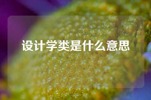 设计学类是什么意思