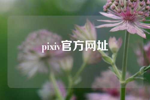 pixiv官方网址