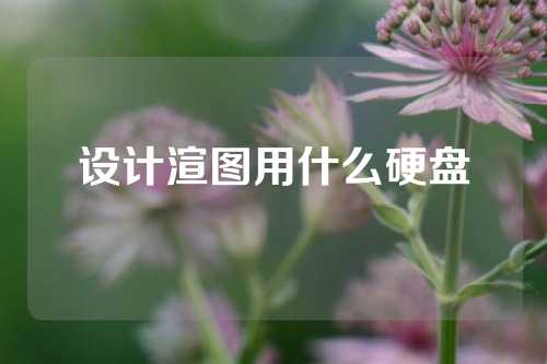 设计渲图用什么硬盘