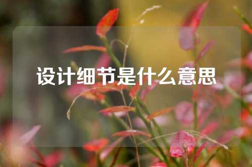 设计细节是什么意思