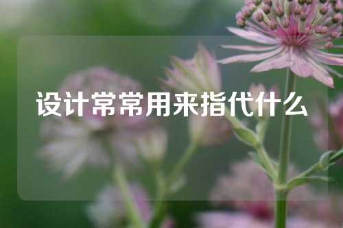 设计常常用来指代什么