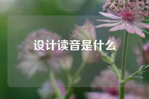 设计读音是什么