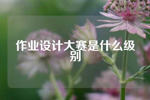 作业设计大赛是什么级别