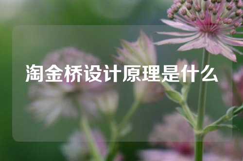 淘金桥设计原理是什么