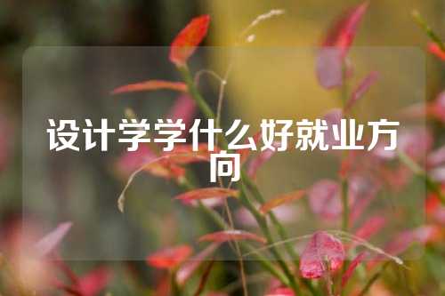 设计学学什么好就业方向