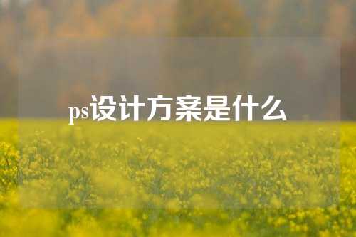 ps设计方案是什么