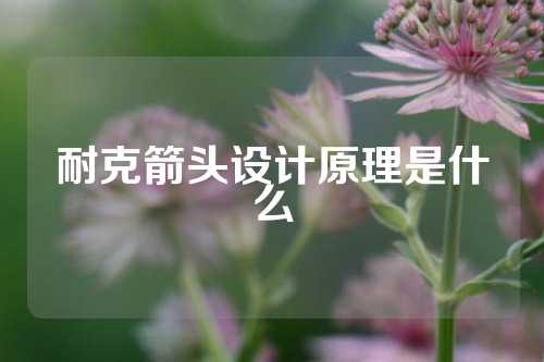 耐克箭头设计原理是什么