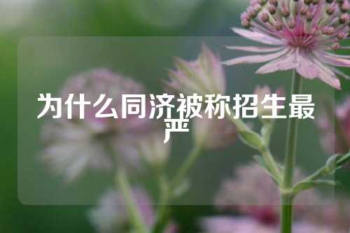 为什么同济被称招生最严