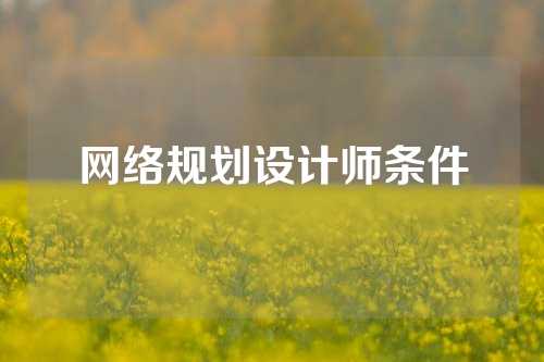 网络规划设计师条件