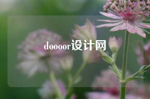 doooor设计网