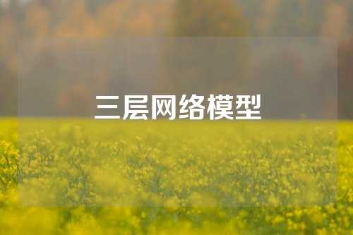 三层网络模型