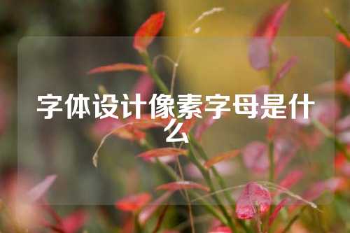 字体设计像素字母是什么