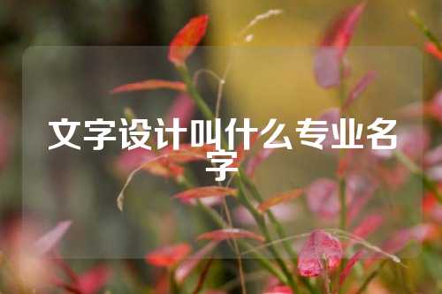 文字设计叫什么专业名字