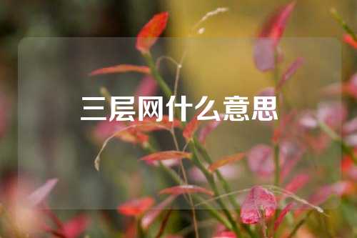 三层网什么意思