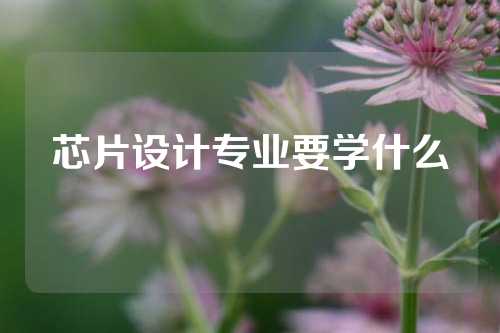 芯片设计专业要学什么