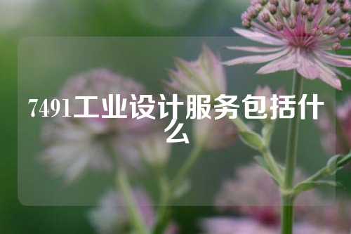 7491工业设计服务包括什么