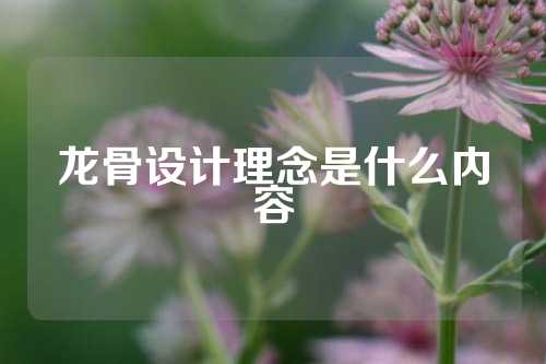 龙骨设计理念是什么内容