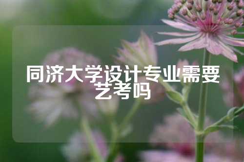 同济大学设计专业需要艺考吗