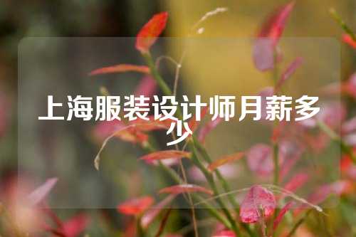 上海服装设计师月薪多少