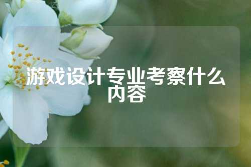 游戏设计专业考察什么内容