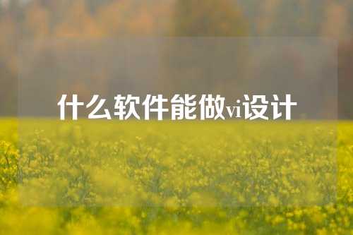 什么软件能做vi设计