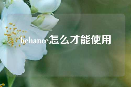 behance怎么才能使用