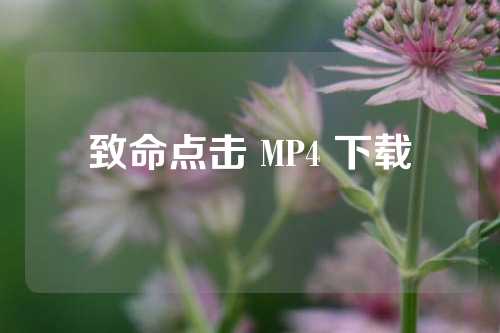 致命点击 MP4 下载