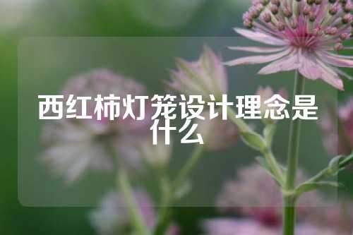 西红柿灯笼设计理念是什么