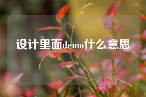 设计里面demo什么意思