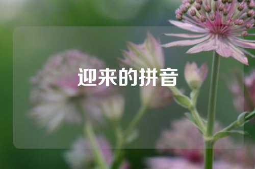 迎来的拼音