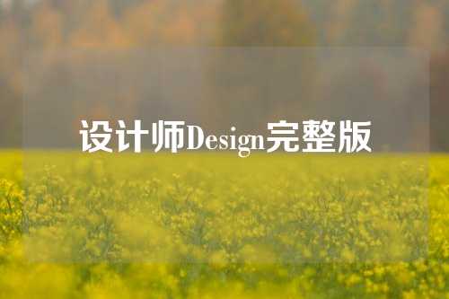 设计师Design完整版