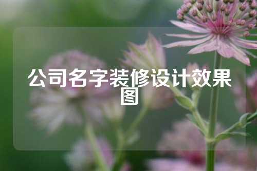 公司名字装修设计效果图