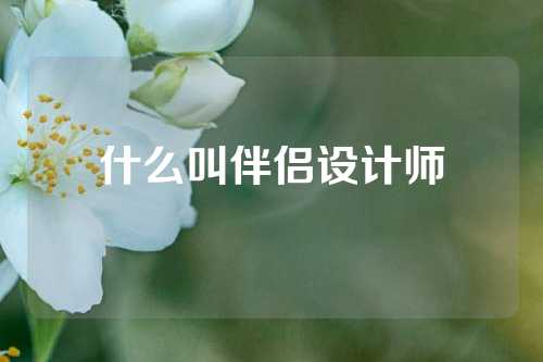 什么叫伴侣设计师