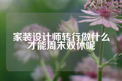 家装设计师转行做什么才能周末双休呢