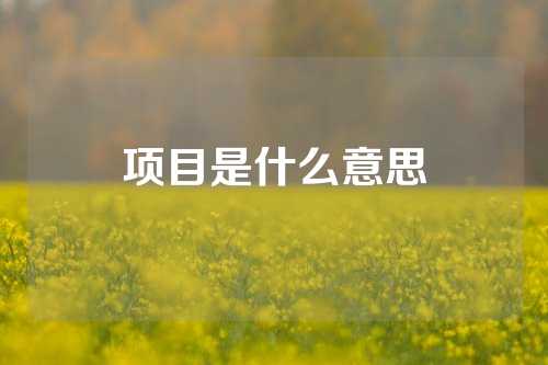 项目是什么意思