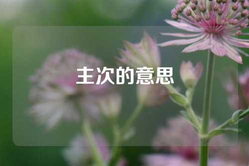 主次的意思