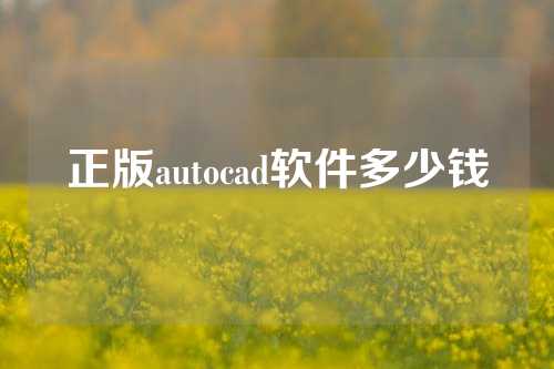 正版autocad软件多少钱