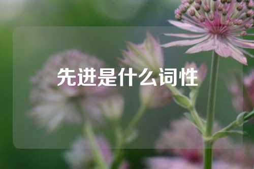 先进是什么词性