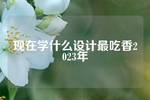 现在学什么设计最吃香2023年