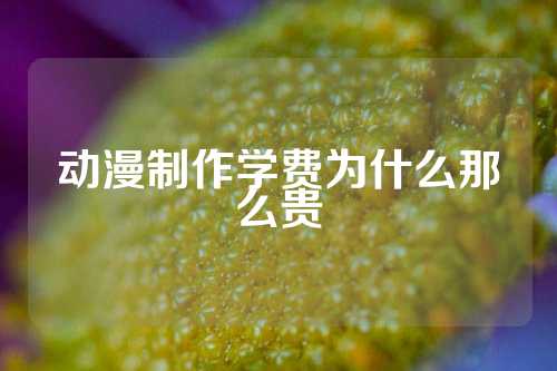 动漫制作学费为什么那么贵