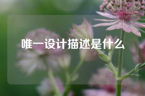 唯一设计描述是什么